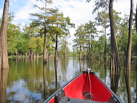 Canoeing Moro Creek.